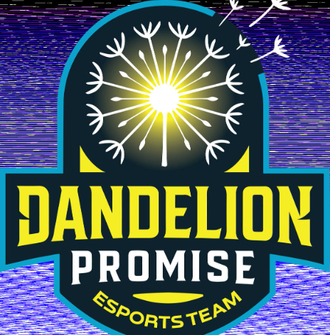 Dandelion promise